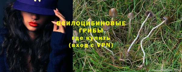 ПСИЛОЦИБИНОВЫЕ ГРИБЫ Алзамай