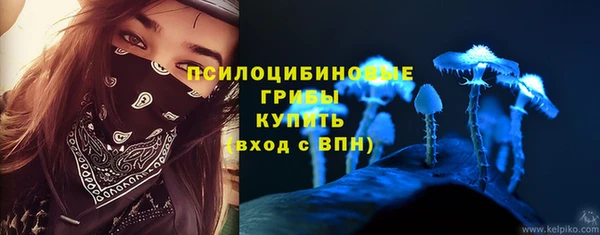 PSILOCYBIN Алексеевка