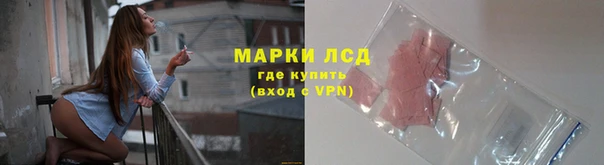ПСИЛОЦИБИНОВЫЕ ГРИБЫ Алзамай