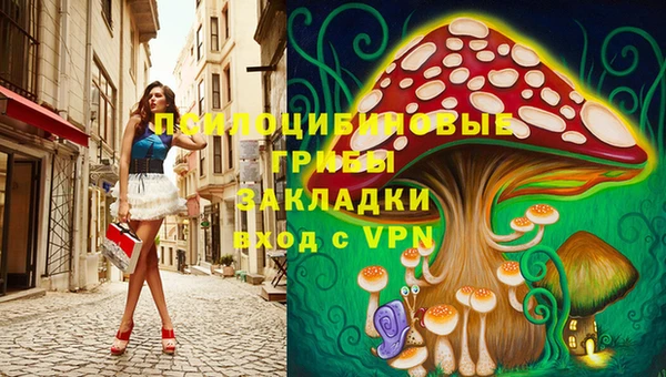 PSILOCYBIN Алексеевка