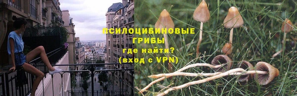 ПСИЛОЦИБИНОВЫЕ ГРИБЫ Алзамай